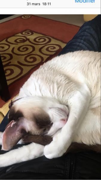 Foto del alojamiento