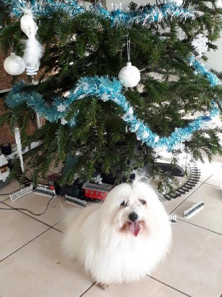 Foto del alojamiento