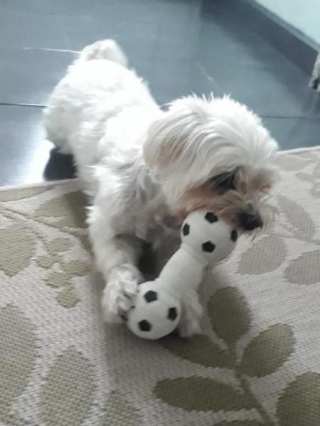 Foto del alojamiento