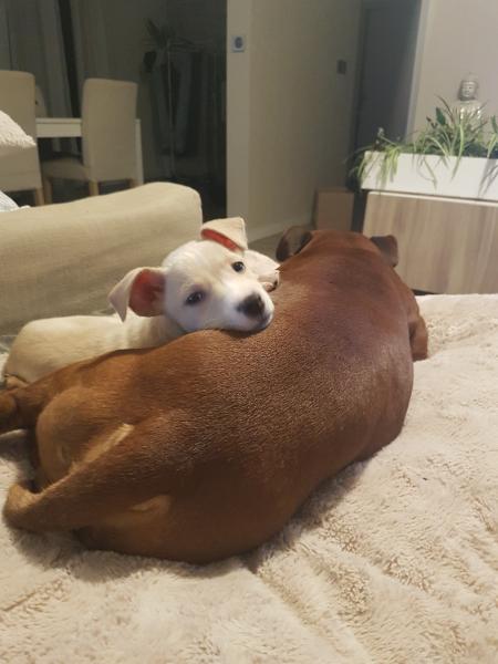Foto del alojamiento