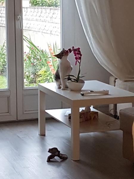 Foto del alojamiento