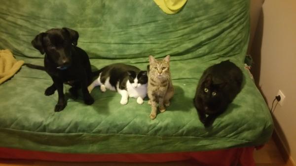 Foto del alojamiento