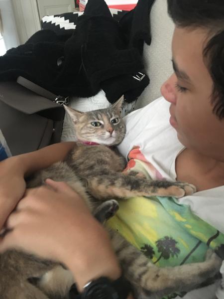 Foto del alojamiento