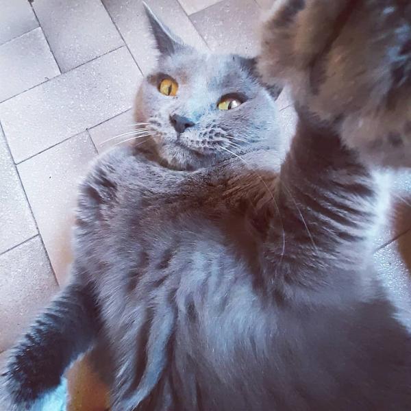 Foto del alojamiento