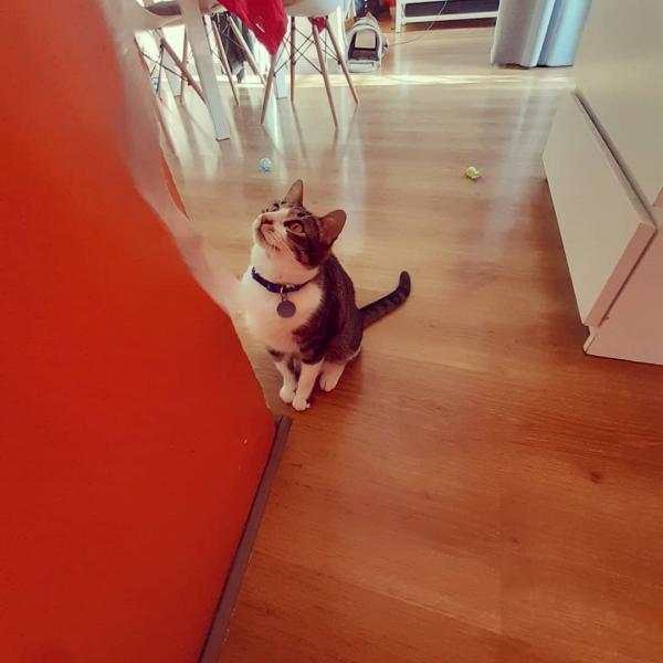 Foto del alojamiento