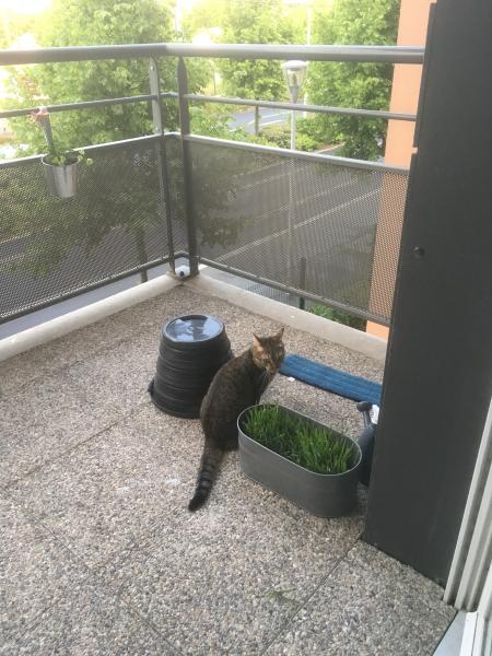 Foto del alojamiento