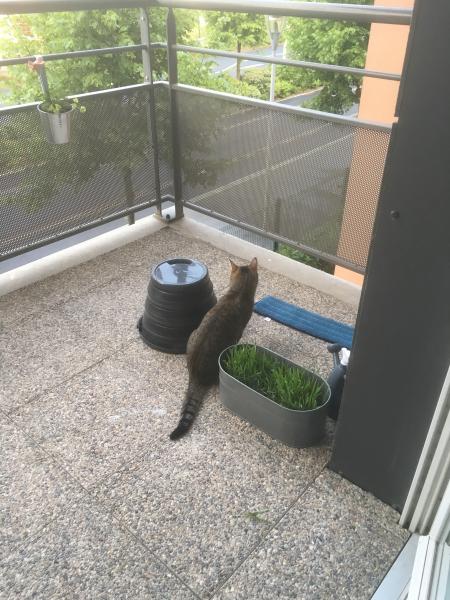 Foto del alojamiento