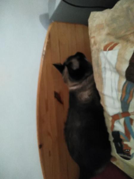 Foto del alojamiento