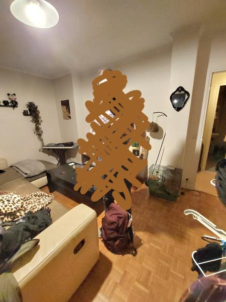 Foto del alojamiento