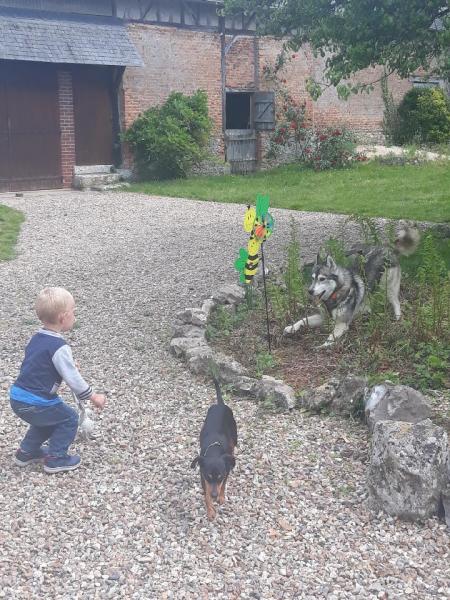 Foto del alojamiento