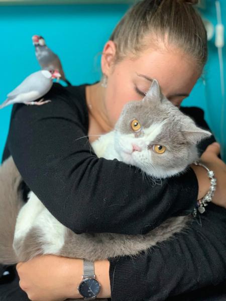 Foto del alojamiento