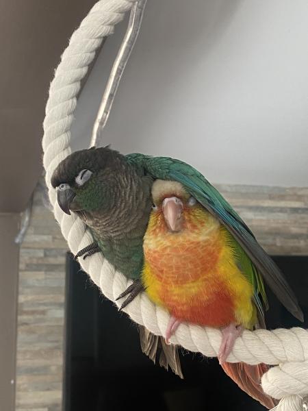 Foto del alojamiento