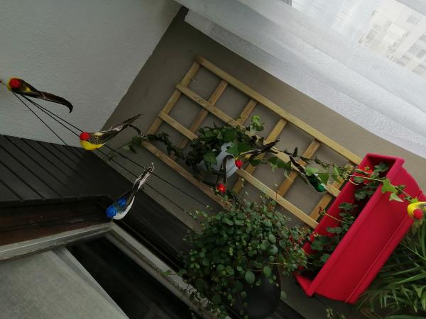 Foto del alojamiento
