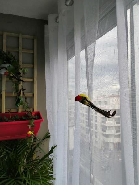 Foto del alojamiento