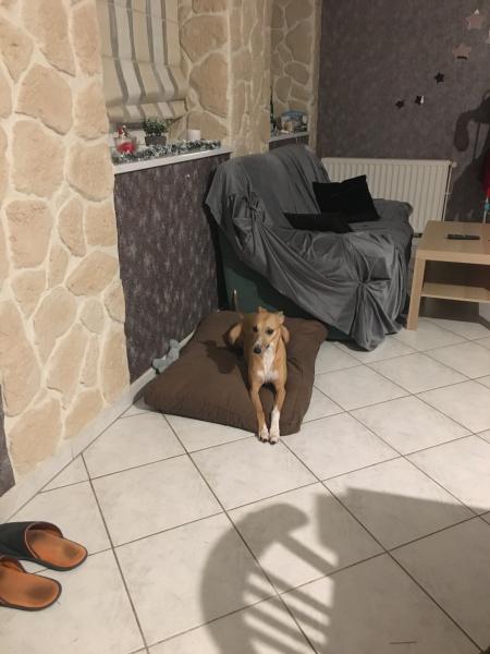 Foto del alojamiento