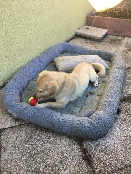 Foto del alojamiento