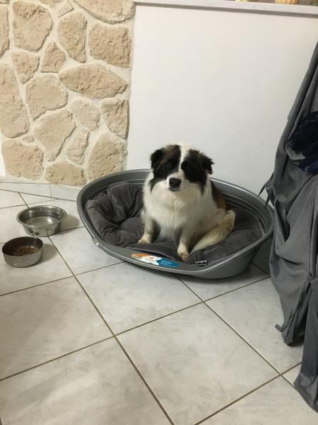 Foto del alojamiento