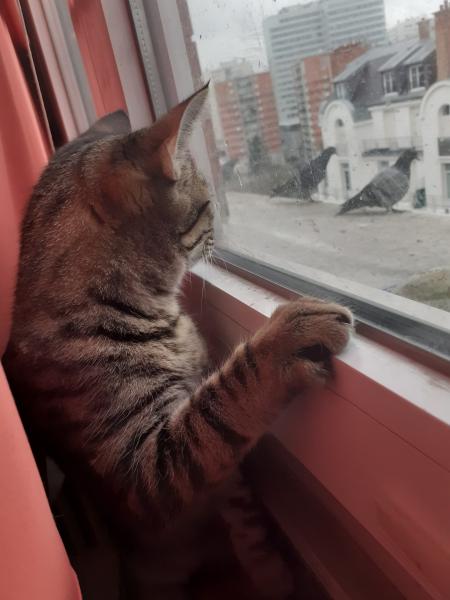 Foto del alojamiento