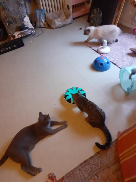 Foto del alojamiento