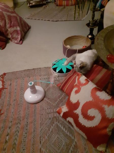 Foto del alojamiento