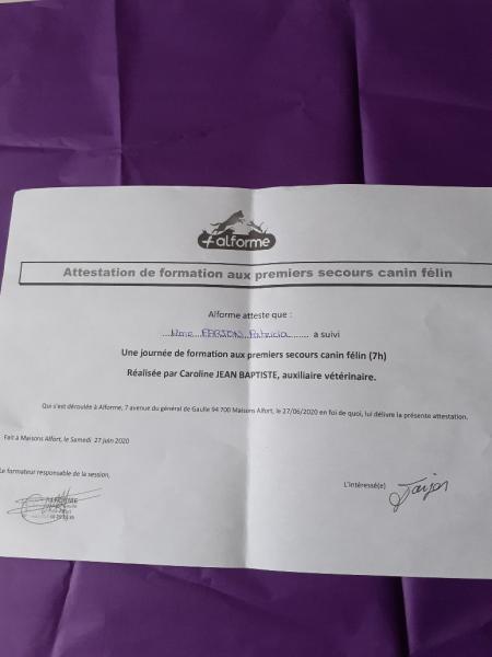Foto del alojamiento