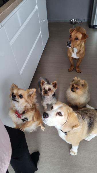 Foto del alojamiento