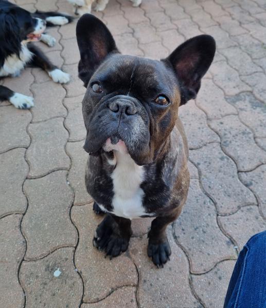 Foto del alojamiento