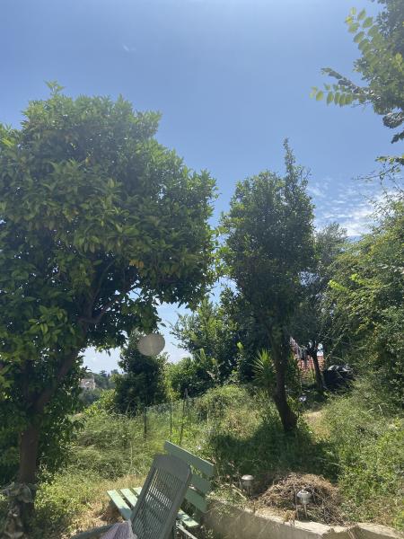 Foto del alojamiento