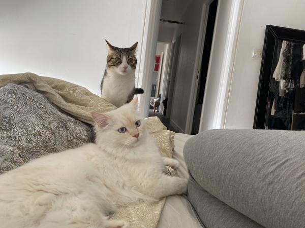 Foto del alojamiento