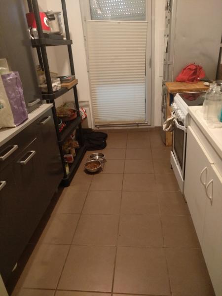 Foto del alojamiento