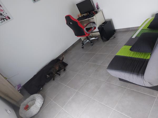 Foto del alojamiento