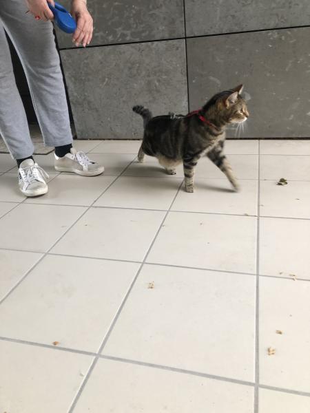 Foto del alojamiento