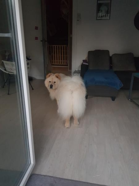 Foto del alojamiento