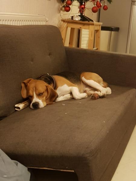 Foto del alojamiento