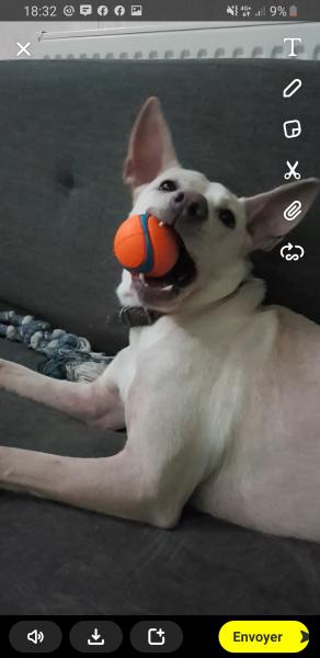 Foto del alojamiento
