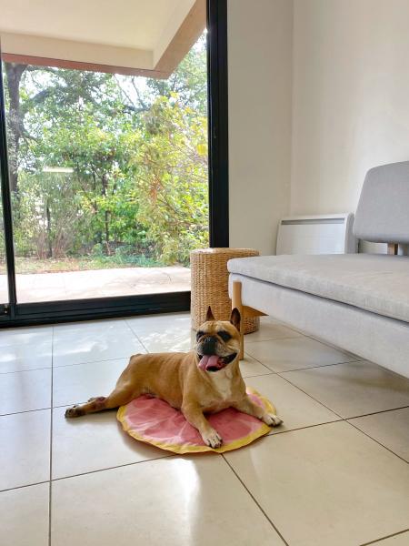 Foto del alojamiento