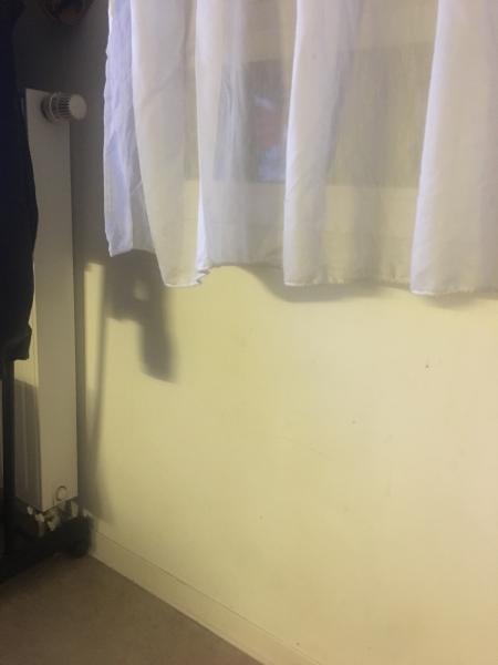 Foto del alojamiento