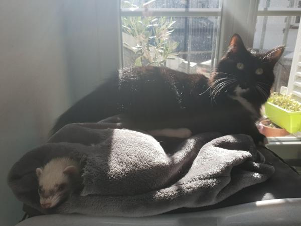 Foto del alojamiento