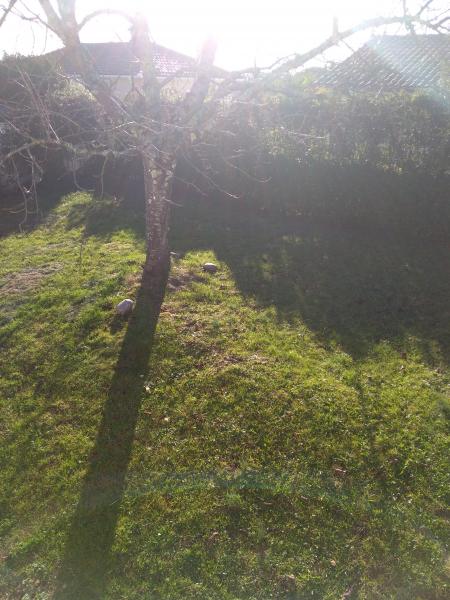Foto del alojamiento