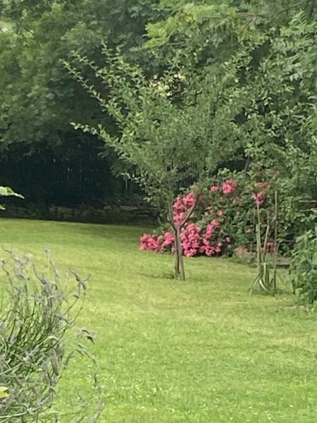 Foto del alojamiento