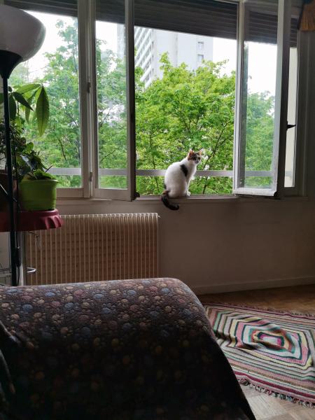 Foto del alojamiento