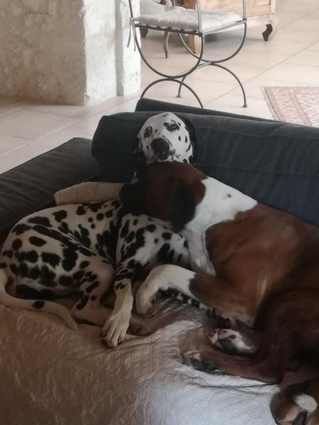 Foto del alojamiento