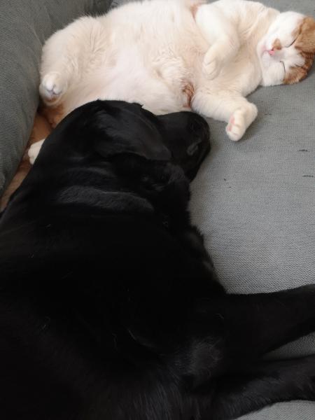 Foto del alojamiento