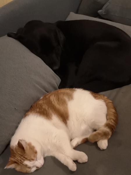 Foto del alojamiento