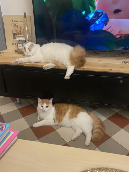 Foto del alojamiento