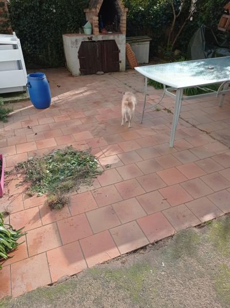 Foto del alojamiento