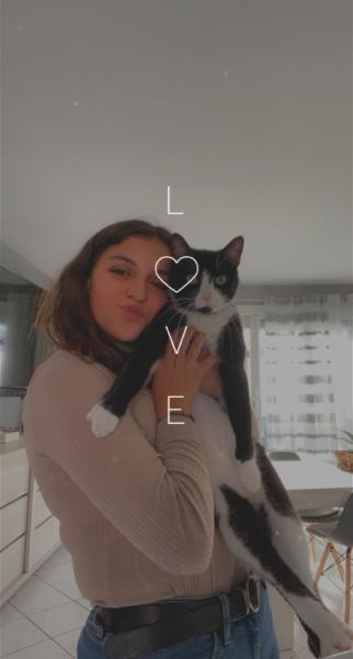 Foto del alojamiento
