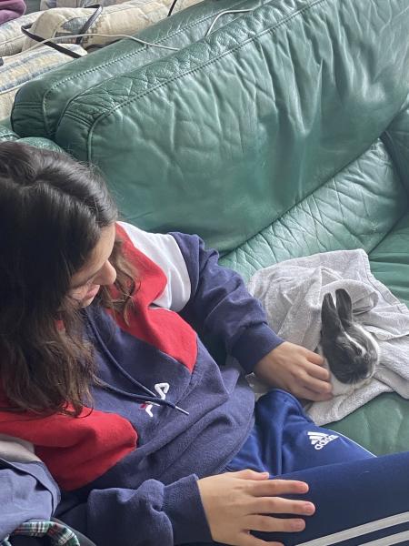 Foto del alojamiento