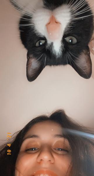 Foto del alojamiento