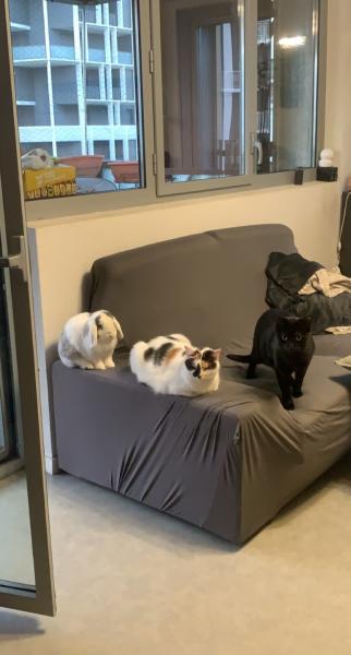 Foto del alojamiento